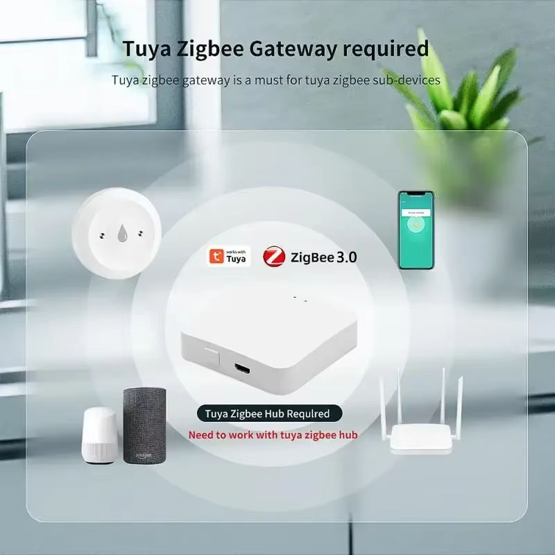 For Tuya ZigBee 3.0 Smart Wate - огляд і ціна Smart Home Zigbee 3.0